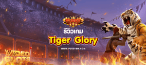 รีวิวเกม Tiger Glory - 01